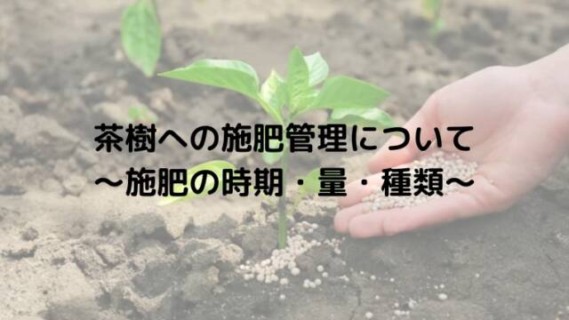 茶樹への施肥管理について　～施肥の時期・量・種類～